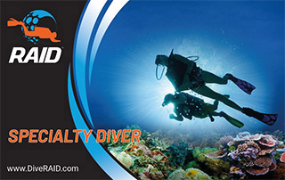 Ecological Diver